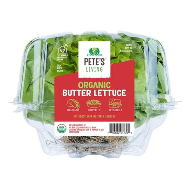 Pete's Living Butter Lettuce 1 ct