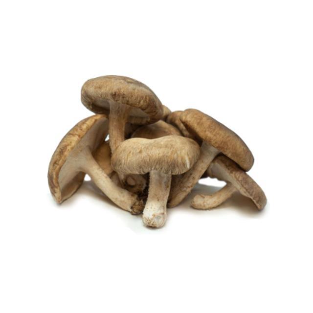 Shiitake Mushrooms 4 oz