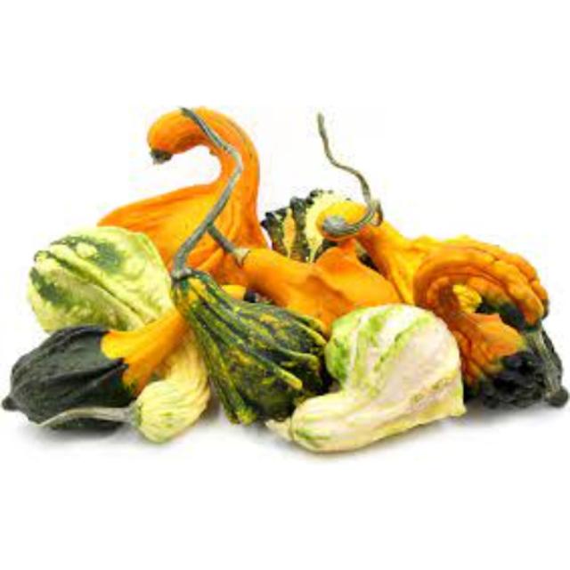 Small Ornamental Gourds 1 ct