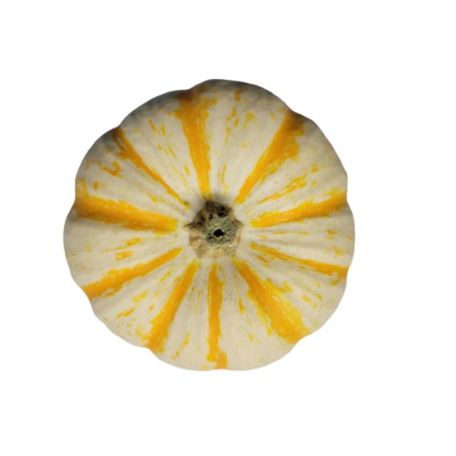 Mini Pumpkins - Yellow Stripped 1 ct