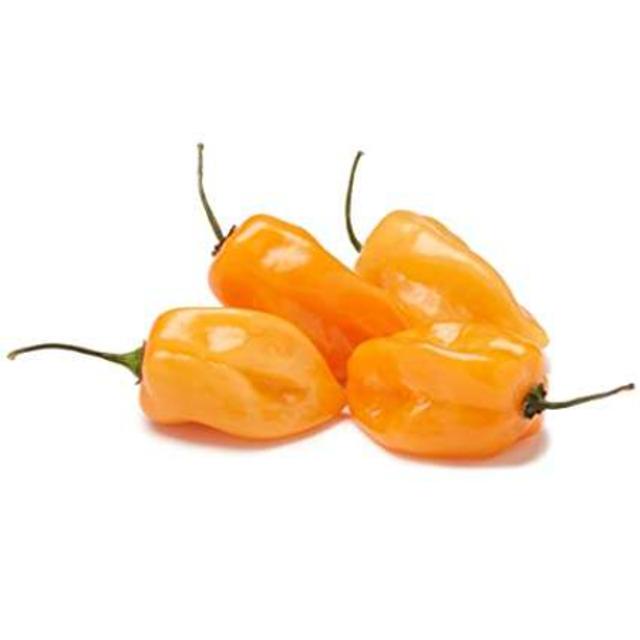Orange Habanero Pepper 4 oz
