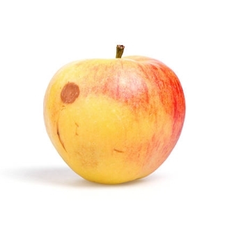 Apples - Imperfect Assorted 1ct (Minor Bruises or Dents)