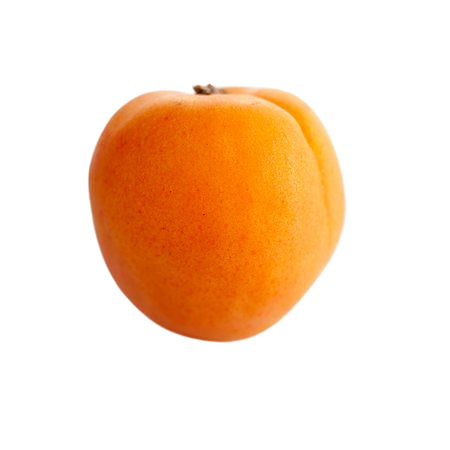 Apricot 1 ct