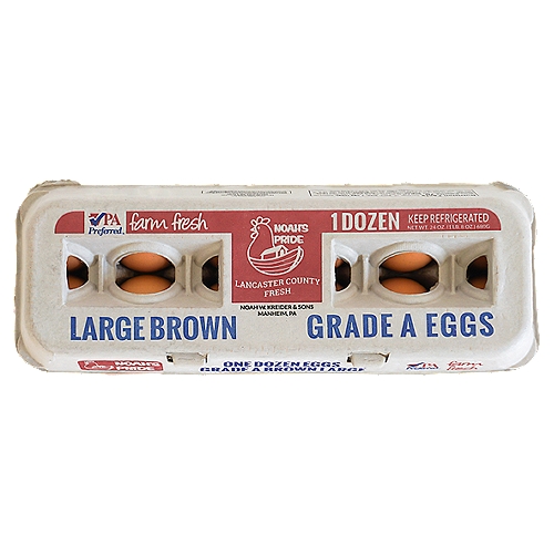 Large Brown Eggs - Noah's Pride - 12 pk